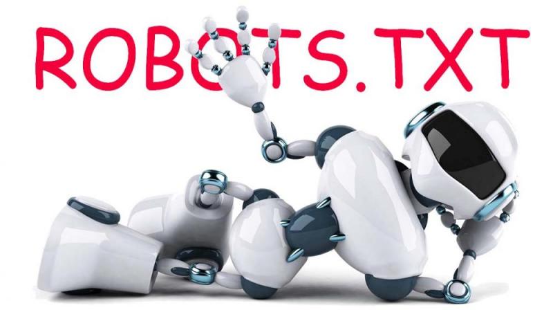 Что такое robots.txt и зачем он нужен в Тольятти